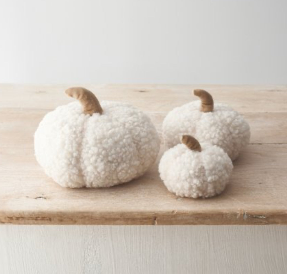 Sherpa pumpkin