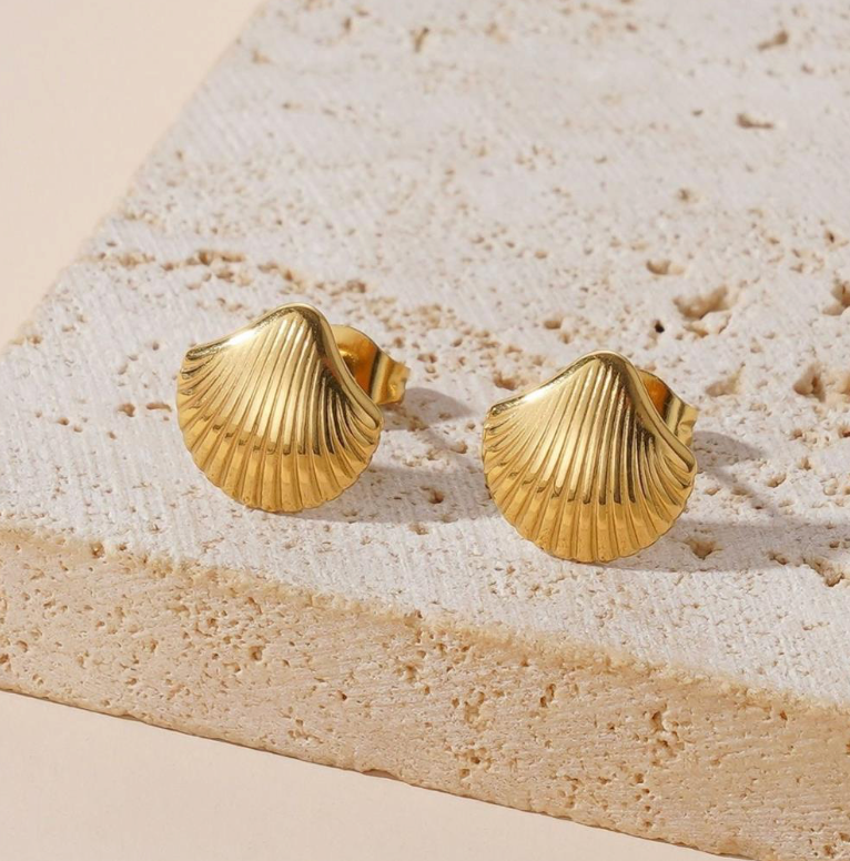 Shell Stud Earrings