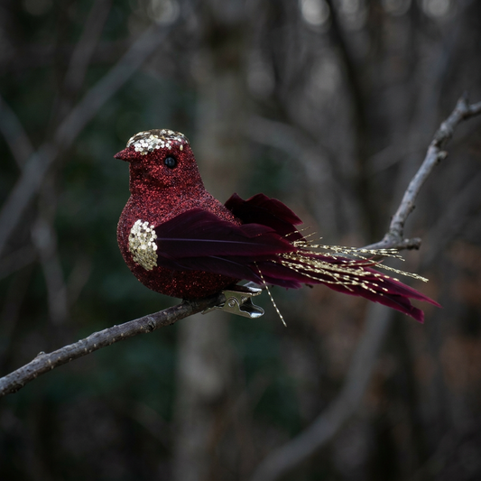 Sparkle Bird