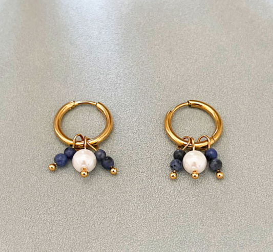 Deep Blue Stone Earrings